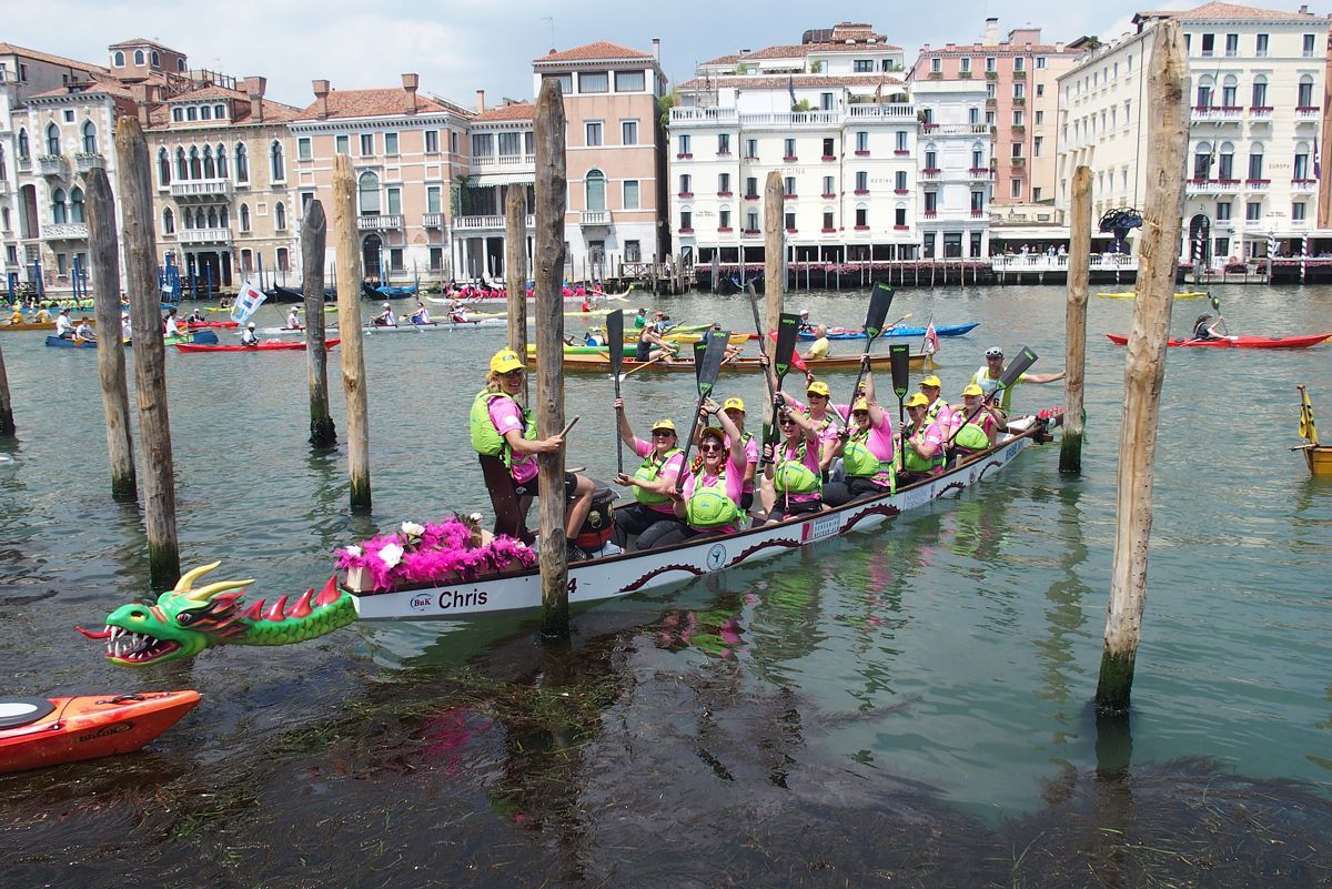 Tübinger Pink PaddlerInnen bei der Vogalonga 2017